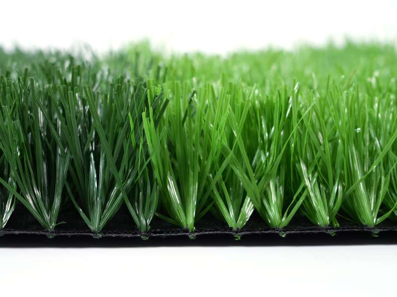 Stem Football Grass